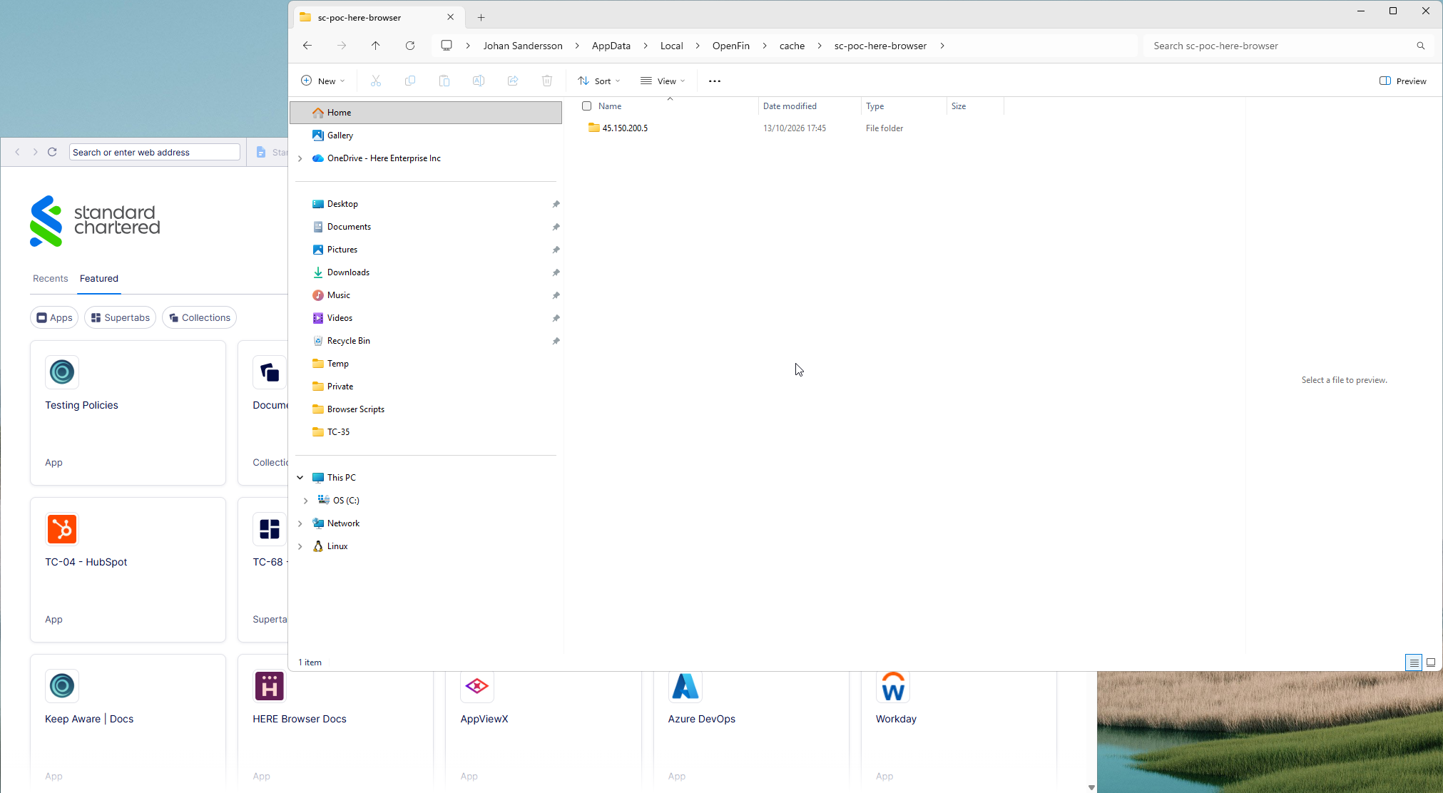 HERE browser cache directory and stored browser data