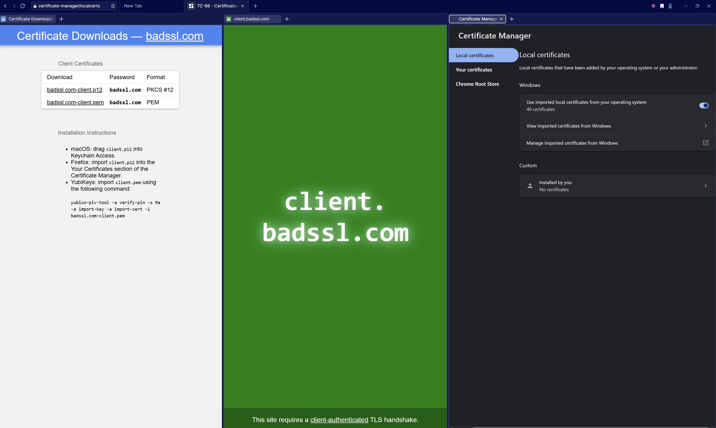 Client certificate downloads beside HERE Certificate Manager local certificate controls and a client-authenticated TLS site